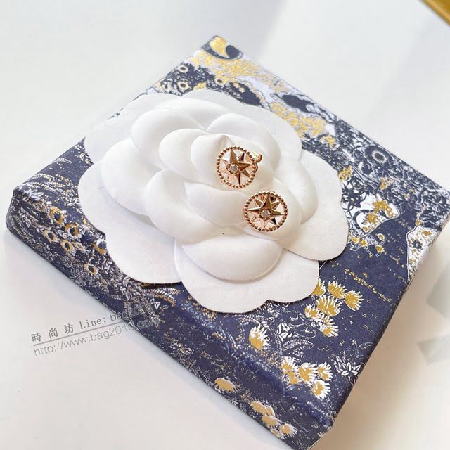 Dior飾品 迪奧經典熱銷款羅盤鏤空耳釘耳環耳飾  zgd1203